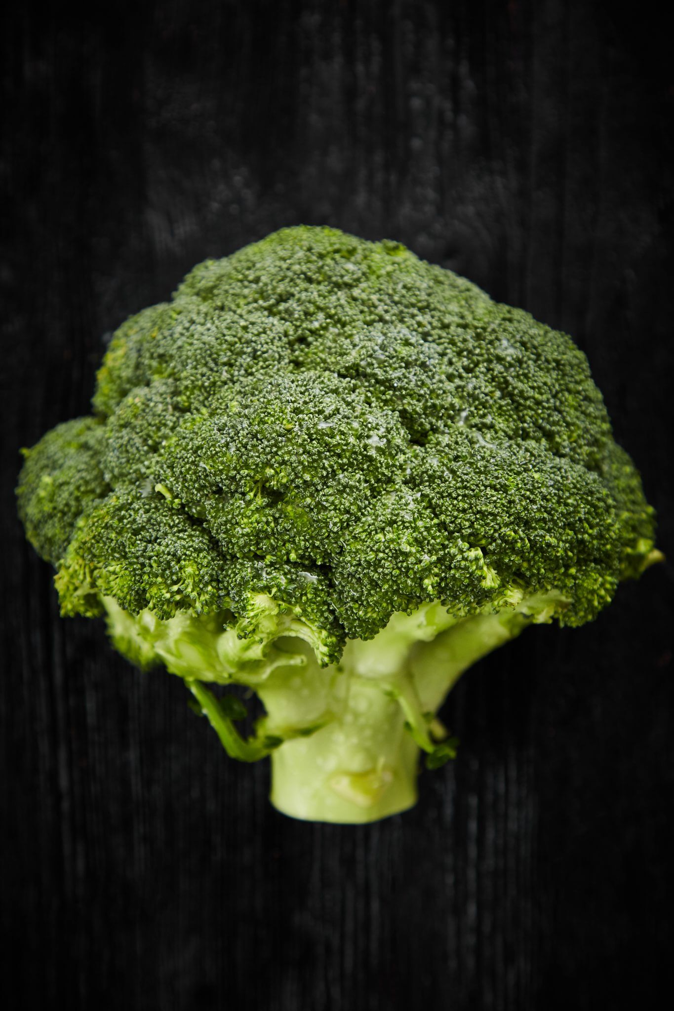 Teoria - Warzywa - Brokuł