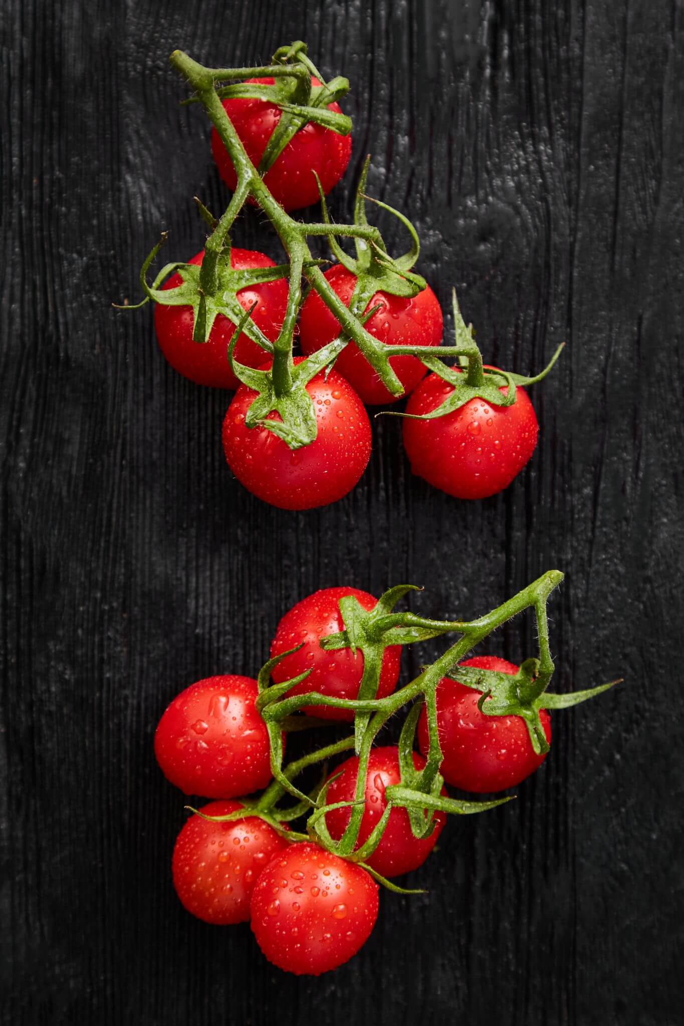Teoria - Warzywa - Pomidor